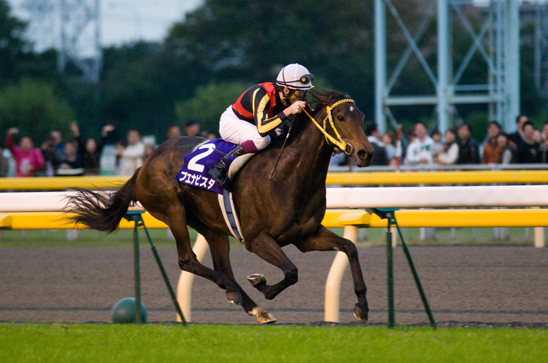 有馬記念に３度涙した名馬がいる 有馬記念16 出走予定馬と予想オッズ最新速報